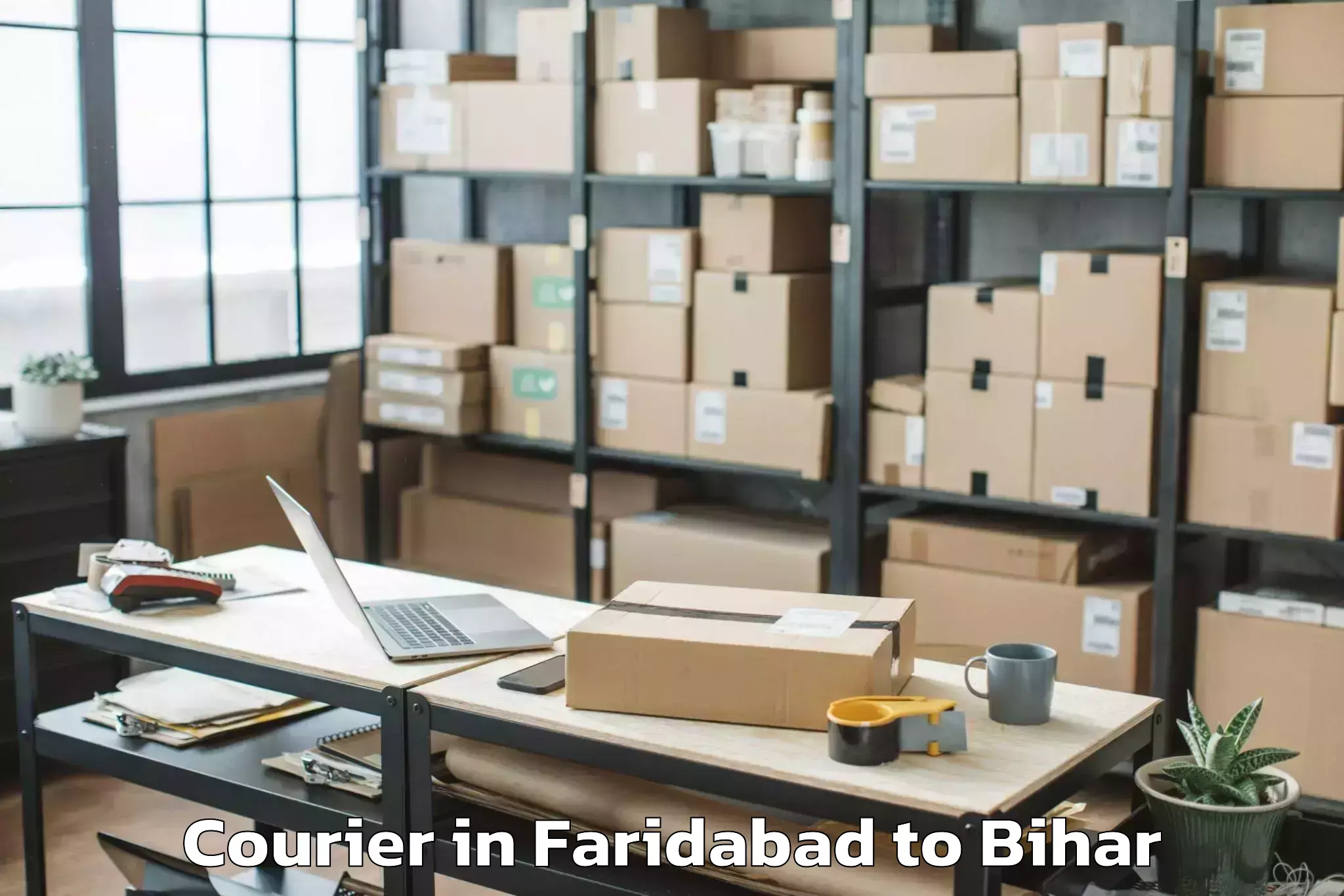 Book Faridabad to Turkaulia Courier